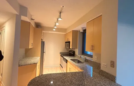 1 Bedroom South Loop Apartment