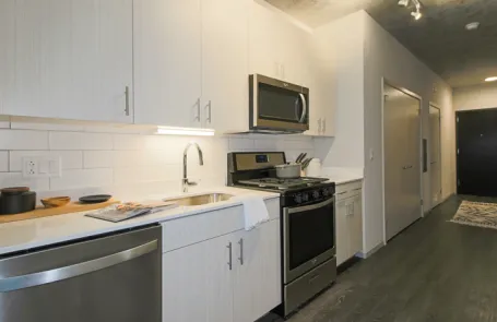 1 Bedroom Printer&#039;s Row Apartment
