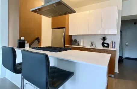1 Bedroom Streeterville Apartment