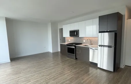 Studio South Loop Apartment