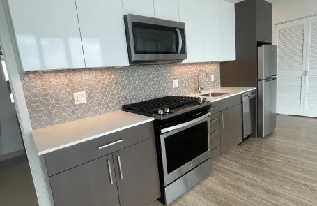 Studio South Loop Apartment