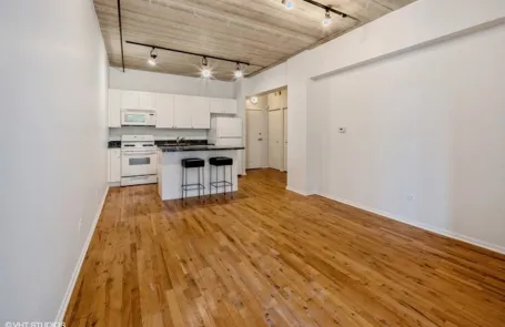 1 Bedroom South Loop Apartment