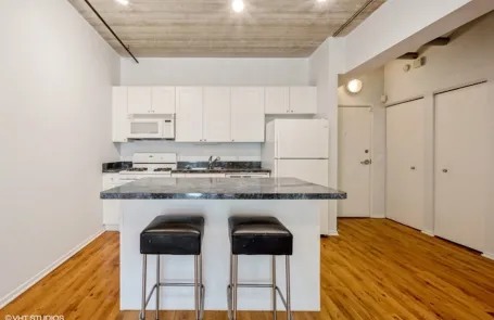 1 Bedroom South Loop Apartment
