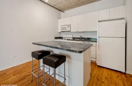 1 Bedroom South Loop Apartment