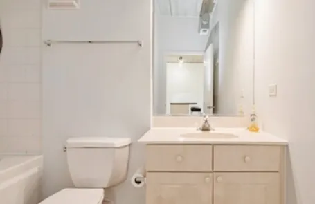 1 Bedroom South Loop Apartment