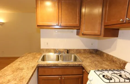 Studio Lakeview Apartment