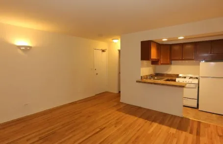 Studio Lakeview Apartment