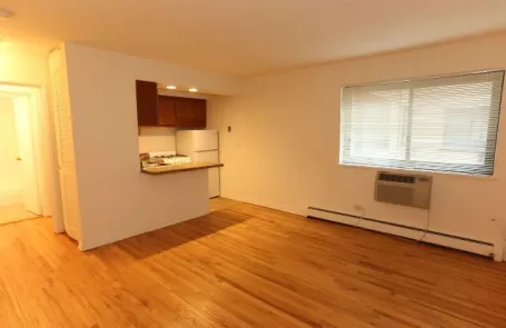 Studio Lakeview Apartment
