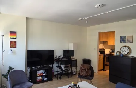 Studio Lakeview Condo