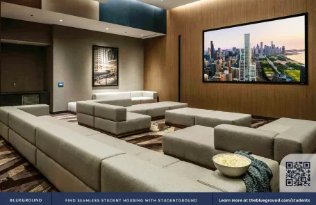2 Bedroom South Loop Apartment