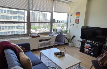 Studio Lakeview Condo
