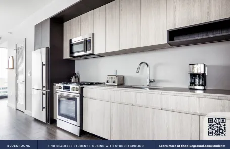 2 Bedroom South Loop Apartment