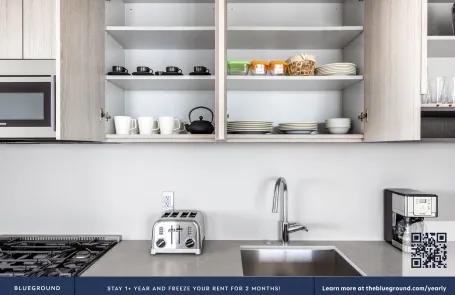 2 Bedroom South Loop Apartment