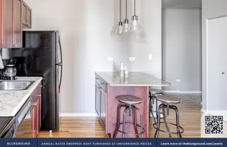 2 Bedroom Chicago Loop Apartment
