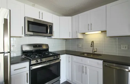 1 Bedroom River North Apartment