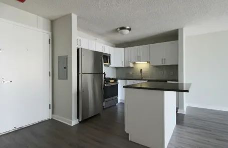 1 Bedroom River North Apartment