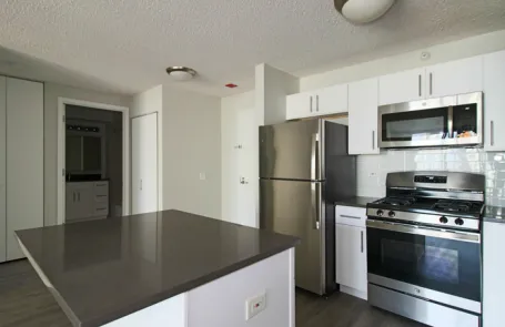 1 Bedroom River North Apartment