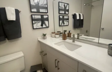 1 Bedroom Lakeshore East Apartment