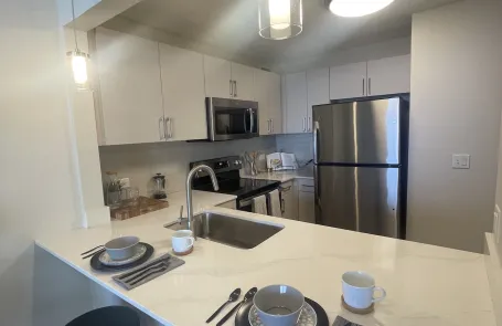 1 Bedroom Lakeshore East Apartment