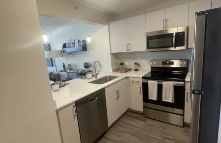1 Bedroom Lakeshore East Apartment