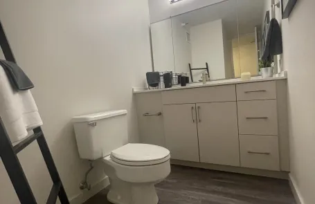 1 Bedroom Lakeshore East Apartment