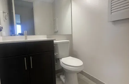 3 Bedroom Lakeshore East Apartment