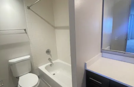 3 Bedroom Lakeshore East Apartment