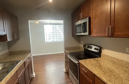 1 Bedroom Streeterville Apartment
