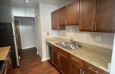 1 Bedroom Streeterville Apartment