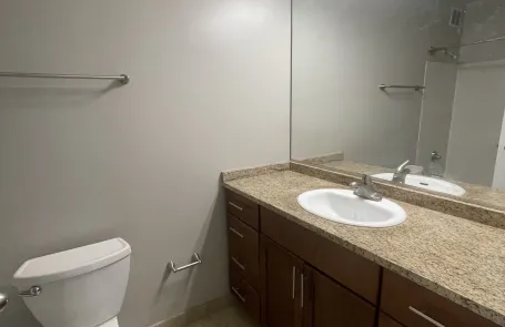 1 Bedroom Streeterville Apartment