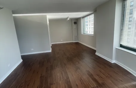 1 Bedroom Streeterville Apartment