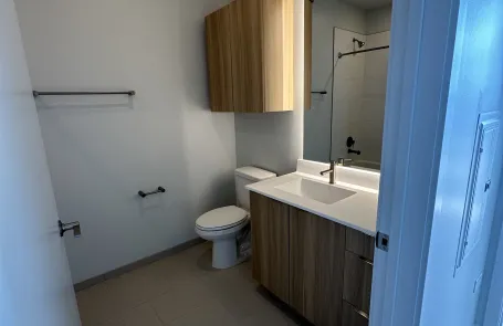 2 Bedroom Lincoln Park Apartment
