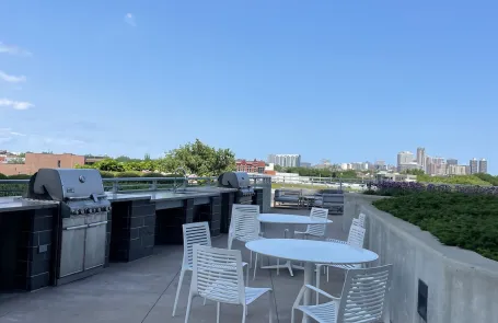 1 Bedroom Lincoln Park Apartment