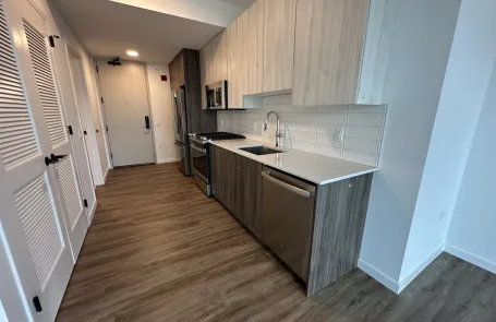 1 Bedroom West Loop Apartment