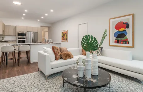 1 Bedroom  Apartment