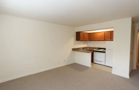 Studio Lakeview Apartment