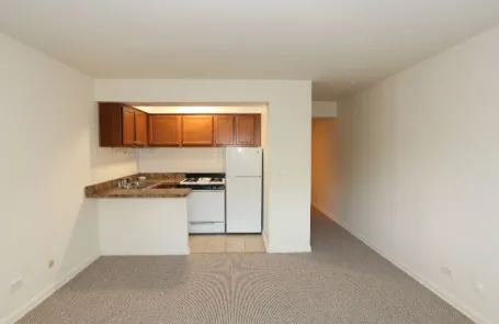 Studio Lakeview Apartment
