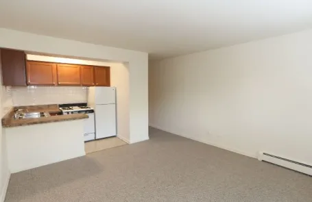 Studio Lakeview Apartment