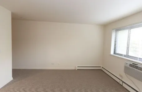 Studio Lakeview Apartment