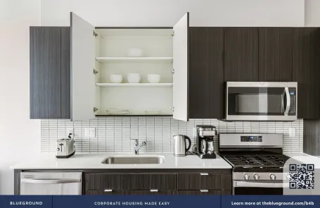 1 Bedroom South Loop Apartment