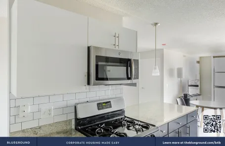 1 Bedroom West Loop Apartment
