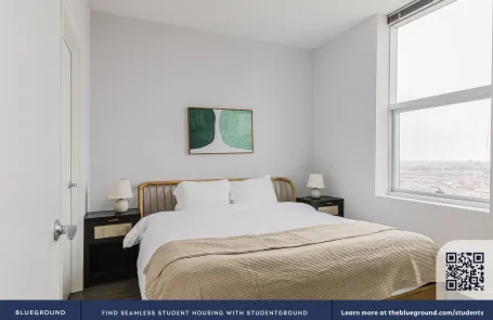 1 Bedroom South Loop Apartment