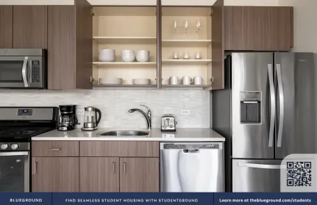 1 Bedroom Streeterville Apartment
