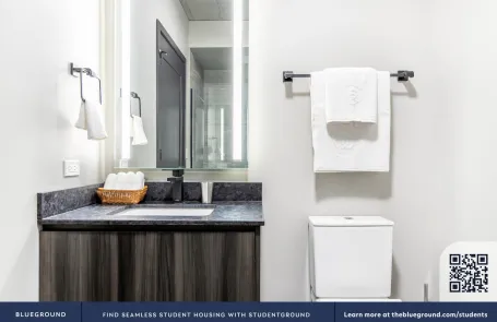 1 Bedroom West Loop Apartment