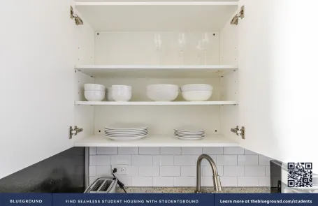 1 Bedroom West Loop Apartment