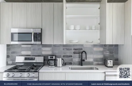 1 Bedroom West Loop Apartment