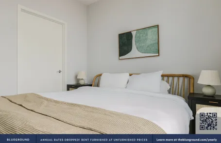 1 Bedroom South Loop Apartment