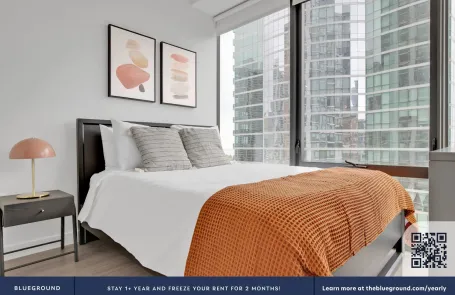 2 Bedroom South Loop Apartment