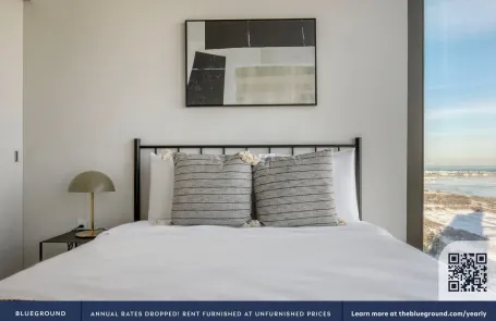 2 Bedroom South Loop Apartment