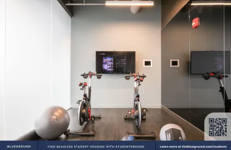 1 Bedroom West Loop Apartment